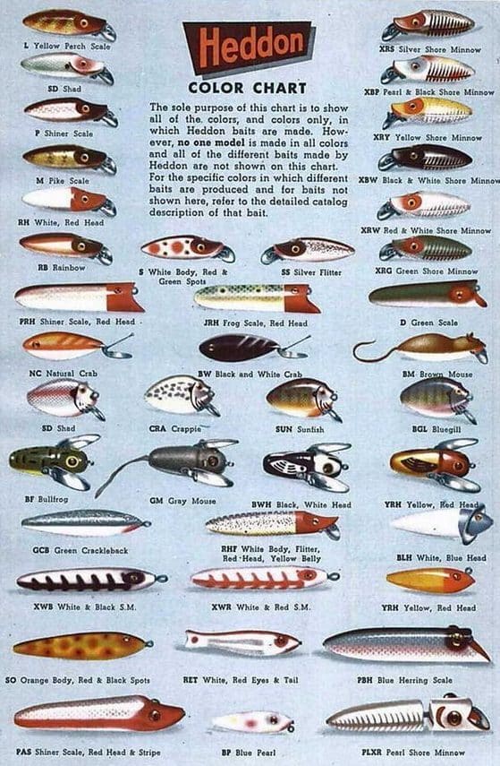 Types of shop fishing lures