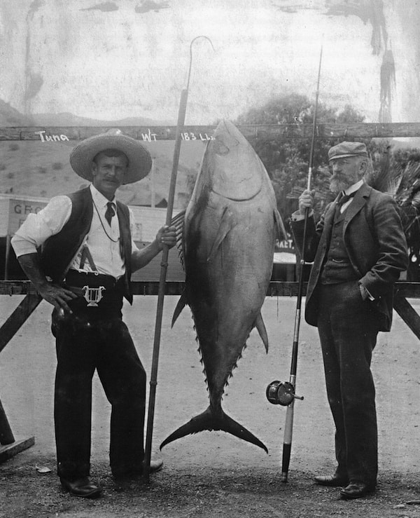 https://lecomptoirgeneral.com/wp-content/uploads/2022/12/Captain-Jim-Gardner-with-Charles-F-Holder-183-pound-tuna-Santa-Catalina-Island-CA.jpg
