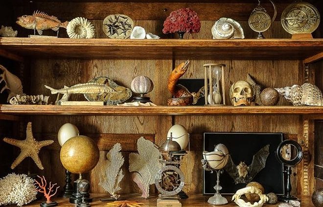 Le Cabinet de Curiosités