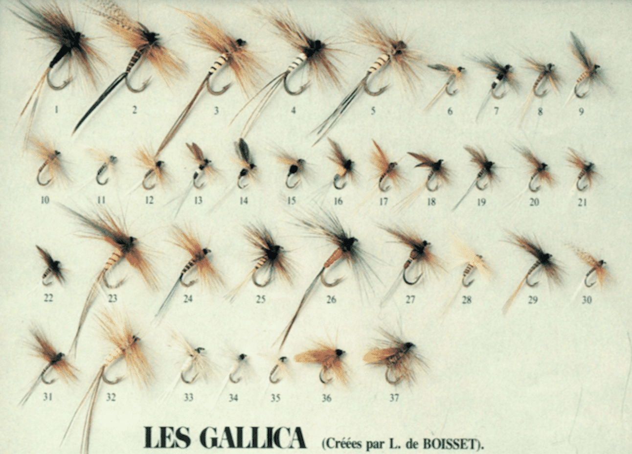 Trout flies  fishing magazine - Le Comptoir Général